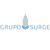 Logo Surge